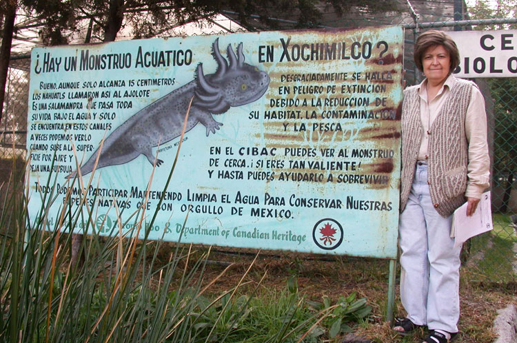 Virginia Graue next to an interpretive sign