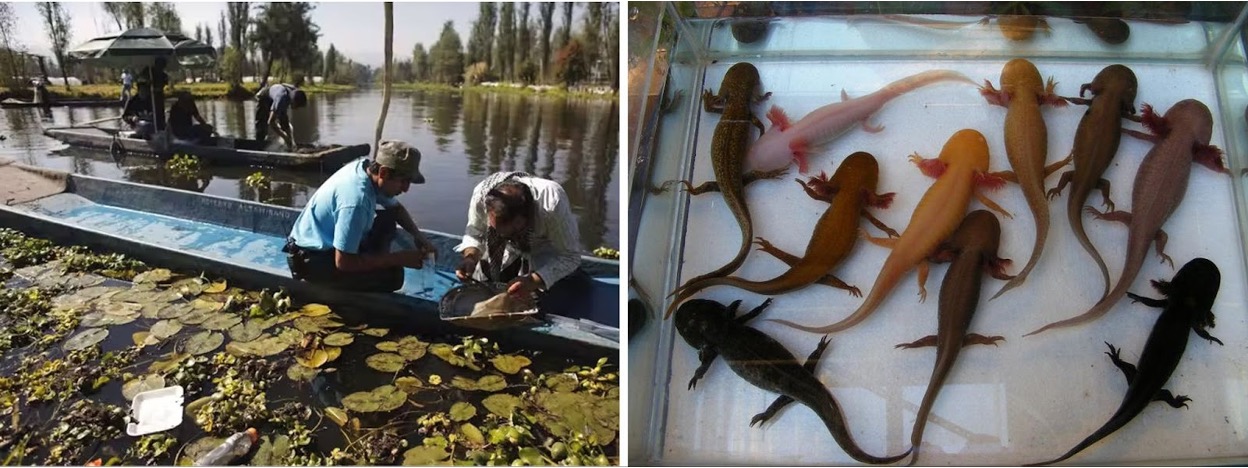 Researchers and locals working together on boats